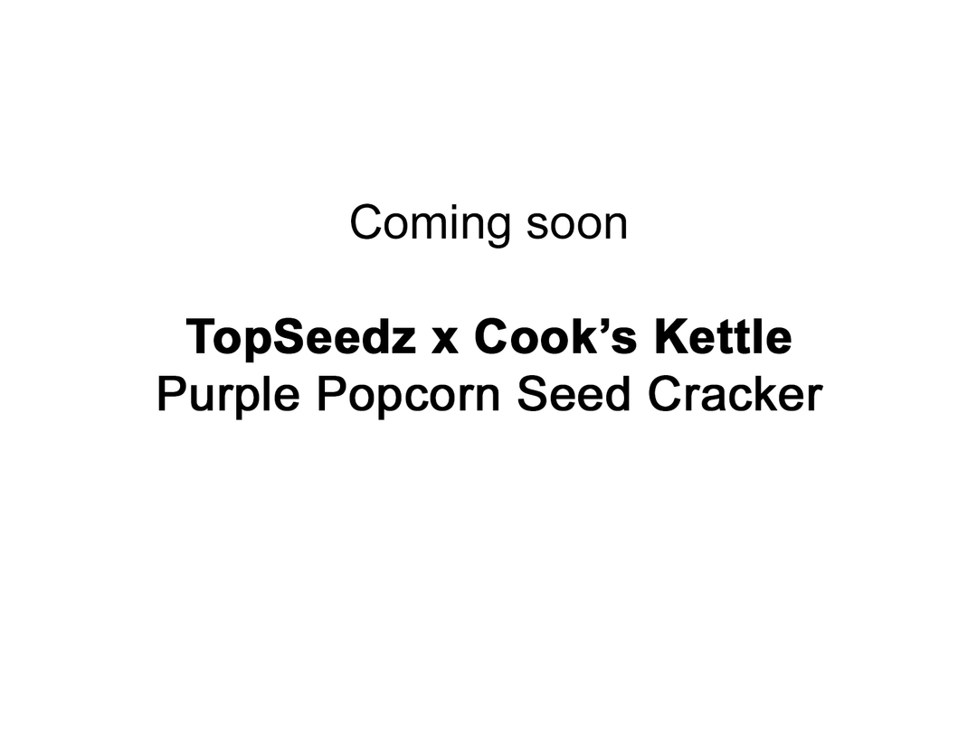 Purple Popcorn Seed Cracker